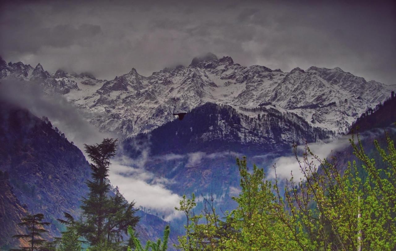 Memoir Homestay Kasol Exterior photo