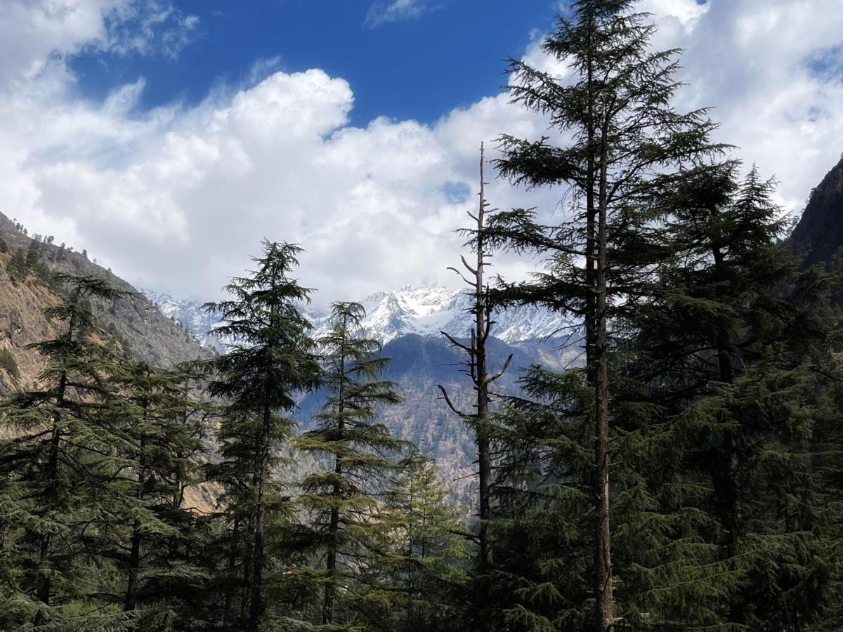 Memoir Homestay Kasol Exterior photo